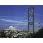 Tacoma: Tacoma Narrows Bridge
