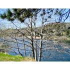 Crestline: : Lake Gregory through a tree
