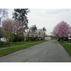 Sumner: : Early Spring in Sumner, March 7th, 2005