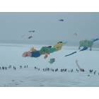 Madison: : Kites on ice festival in Madison