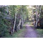 Hill City: Hiking trail at the KOA Campground - Hill City, SD