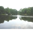 Hilton Head Island: : This is our view from our back deck