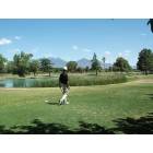 Green Valley: : Golf at Green Valley, AZ, USA