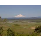 McArthur: View of Mount Shasta and the Valley