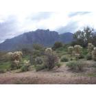 Apache Junction: mountain view-springtime in A.J.