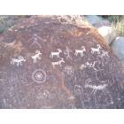 Laughlin: : Petroglyphs at Grapevine Canyon near Laughlin,NV