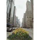 Chicago: : Wacker Drive a.k.a. Magnificent Mile