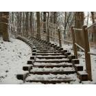 Brecksville: Winter Stairs, Deer Lick Cave Loop, Brecksville Reservation