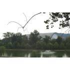 Johnson City: : V.A. Pond with ETSU Minidome in Background