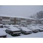 East Rutherford: First beautiful snow fall in EastRutherford for the year 2005 !