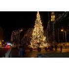 San Antonio: : Downtown Christmas Tree