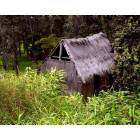 Volcano: Grass hut at Volcanos National Park