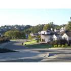 Santa Rosa: : a Fountain Grove neighborhood