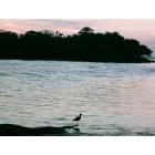 Holiday: : Anclote Gulf park sunset and bird.