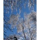 East Tawas: : ice storm