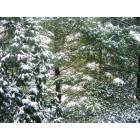 Madison: : Fresh Snowfall - Madison