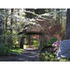 Spokane: : Manito Japanese Gardens
