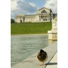 St. Louis: : Forest Park's Art Hill (with duck in foreground)