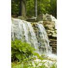 St. Louis: : Waterfall in Forest Park