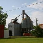 Pinehurst: Pinehurst Peanut & Grain Company
