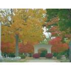 Fall colors in Elmwood Cemetary in Sycamore, Illinois