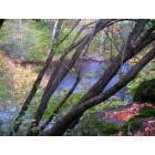 Dunsmuir: : The Sacramento River in Autumn