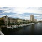 Tampa: : Residential area with dock directly across from the St. Pete's Forum