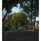 Modesto: View of a street in one of Modesto's older neighbourhoods established about eighty five years ago.