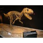 Tucumcari: The Dinosaur Museum