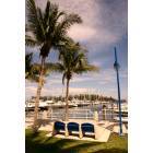 Miami: : Coconut Grove Marina