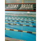 Stony Brook: Stony Brook University Swimming Pool