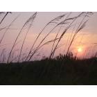Sunset Beach: : Sunset and the dunes