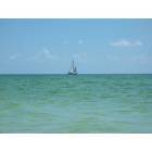 Sarasota: : Sailboat on Gulf of Mexico