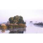 Discovery Bay: : Misty Morning in Discovery Bay at Kellog Creek