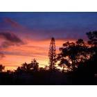 Big Pine Key: Big Pine Key Sunset