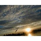 A SEAGULL SOARS OVER THE LAKE AT SUNSET AT SANTE FE DAM