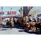 Reno: : Cattle run through Virginia Street