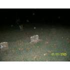 Warner: Bennett Cemetary,do you bellieve in Orbs,As a form of after life? Warner Okla.