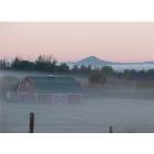 Butte-Silver Bow: : The "BIG M" early morning mist