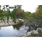 Warren: Scenic View Campground Lot 24 View