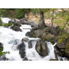 Shady Cove: : Mills Creek in neighboring city, Prospect, OR.