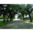 Galveston: : rosenberg avenue, location of the famous Rosenberg Library Galvestton