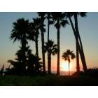 Laguna Beach: Sunset at Heisler Park - Come live in Paradise!