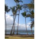 Hilo: : view of Mauna Kea from Coconut Island