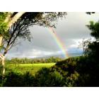 Kapaau: Rainbow in pasture, Kohala Country