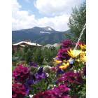 Breckenridge: : Summertime in Breck