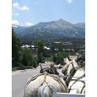 Breckenridge: : Horse-drawn carriage ride in Downtown Breck