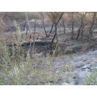 Brea: Fire inside Carbon Canyon Park, located in BREA
