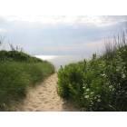 West Paterson: : Capemay NJ Beach path to ocean