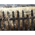 Oak City: Dilapidated Fence